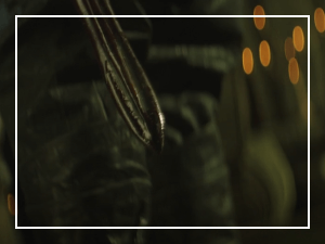 아라문의 검 8회 줄거리 리뷰: 하늘 아래 최강의 생물