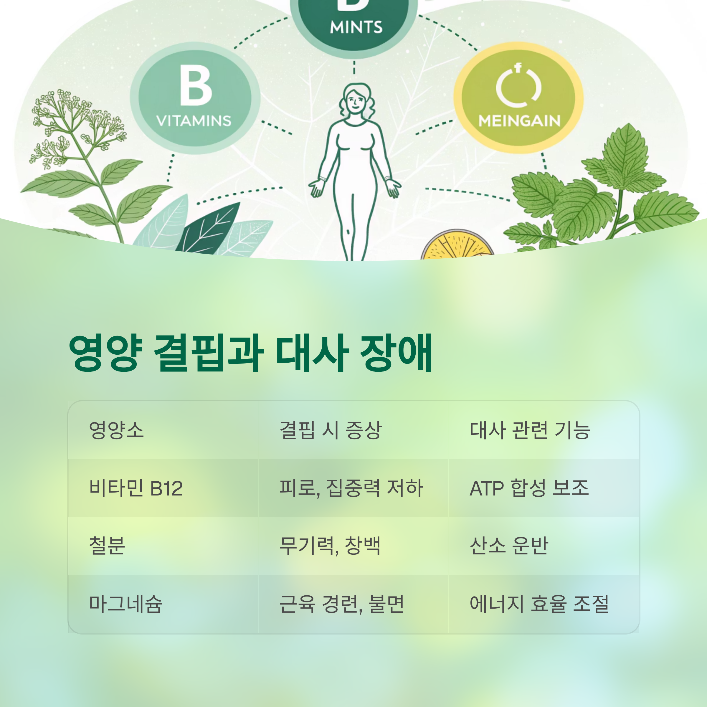 만성피로와 대사 저하의 숨겨진 연결고리, 당신의 몸은 이미 신호를 보내고 있다 - 왜 쉬어도 피곤할까? 대사가 느려진 몸이 보내는 신호들 - 영양 결핍과 대사 장애 만성피로와 대사 저하의 숨겨진 연결고리, 당신의 몸은 이미 신호를 보내고 있다 - 왜 쉬어도 피곤할까? 대사가 느려진 몸이 보내는 신호들 - 영양 결핍과 대사 장애