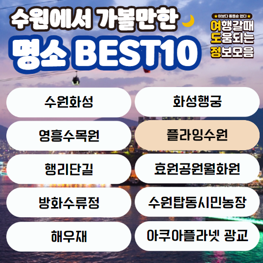 플라잉수원