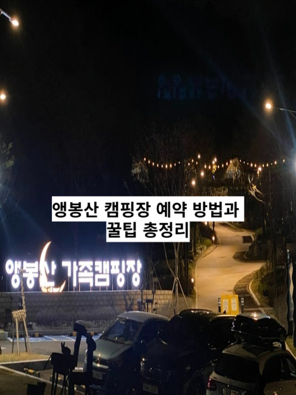 앵봉산 캠핑장 예약 방법과 꿀팁 총정리 - 서울 도심 최고의 가족 캠핑장