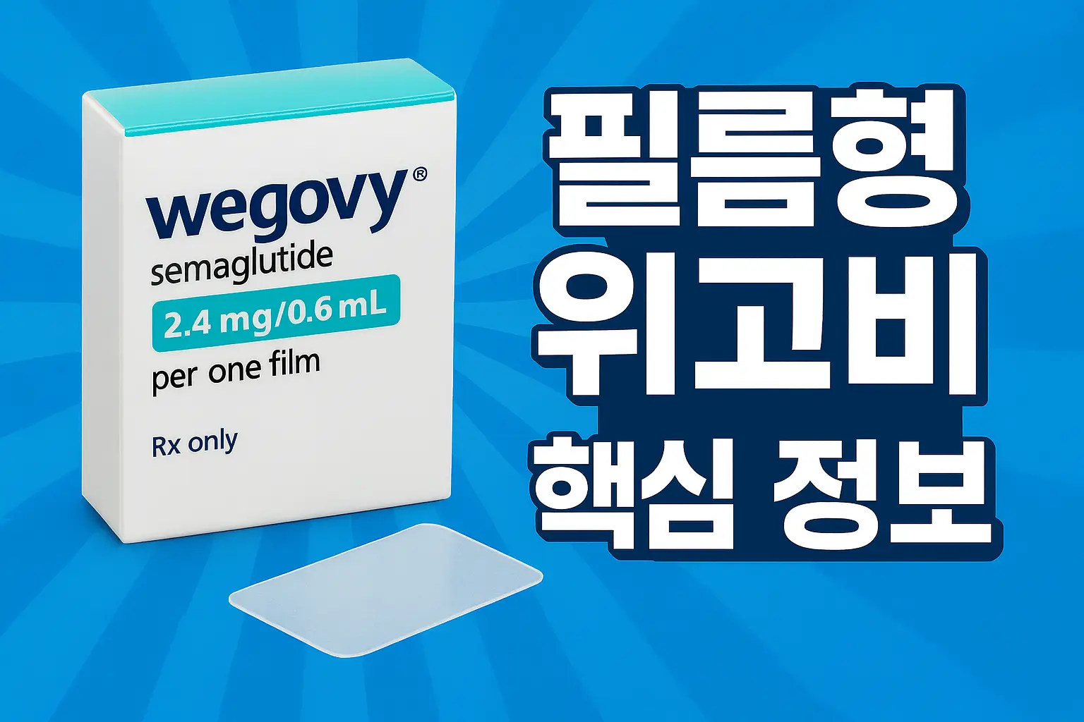 필름형 위고비