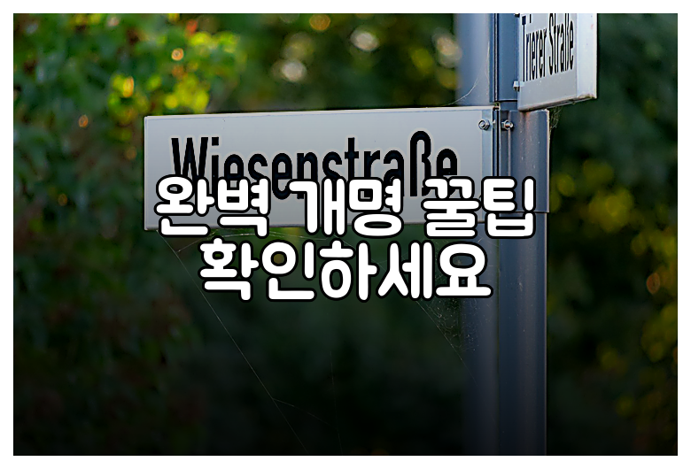 완벽 개명 꿀팁 확인하세요