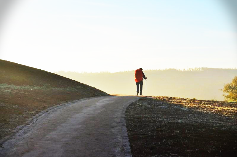 길을 잃어 버리는 꿈