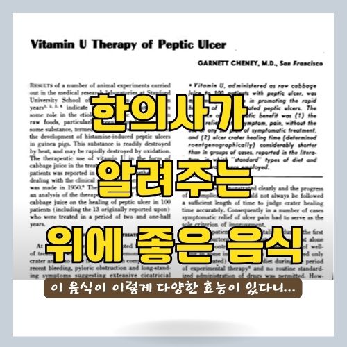 한의사가 알려주는 위에 좋은 음식 양배추 효능 - 위궤양/역류성식도염/위질환/만병통치약/속쓰림 썸네일