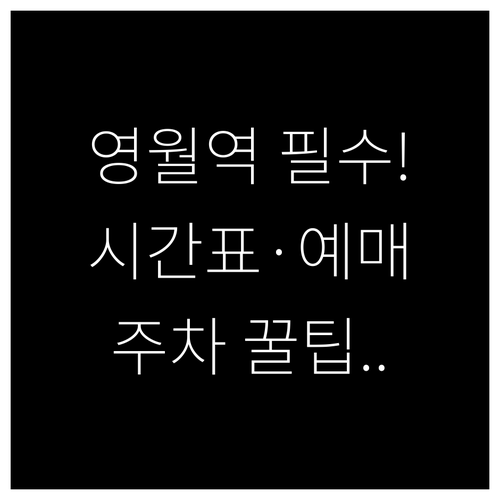 영월역 기차 시간표 및 예매 안내 주..