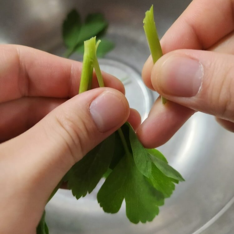 일주일 밑반찬 레시피 밑반찬종류 반찬레시피 밑반찬 만들기 간단한 밑반찬 밑반찬 레시피 밑반찬 레시피! 누구나 좋아하는 어묵감자볶음 밑반찬레시피 - 견과류멸치볶음 밑반찬레시피 향긋하게 입맛 돋우는 깻잎볶음 밑반찬레시피 햄감자볶음 햄감자채볶음 만드는법 밑반찬레시피 고추장 멸치볶음 만드는 법 밑반찬레시피 애호박볶음 만드는법 밑반찬 레시피 스팸양파볶음 밑반찬레시피 - 달걀장조림 달래장 만들기 밑반찬레시피 쉽고 맛있는 파래초무침 만드는법 밑반찬레시피 백종원 무말랭이무침 만드는법 보쌈무 밑반찬레시피 밑반찬 황금레시피 배추 무침 레시피 간단 밑반찬 우엉조림 황금레시피 짭조름 밑반찬 만들기