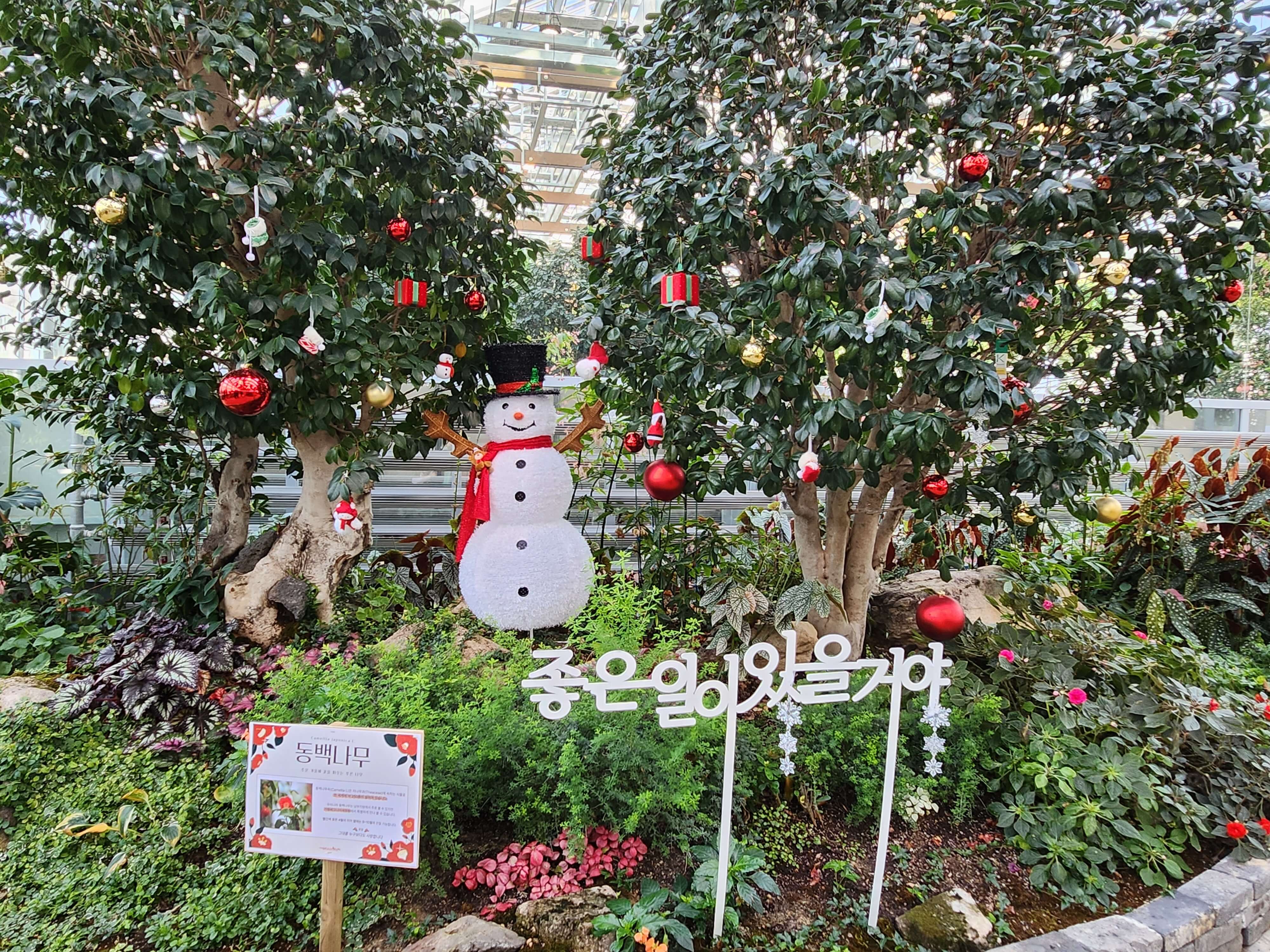 가평 베고니아 정원