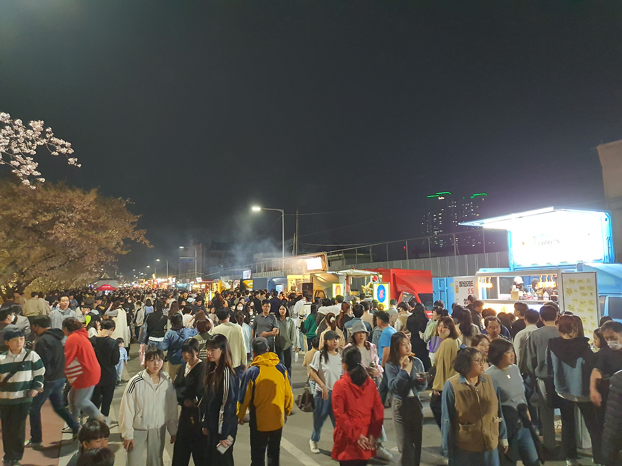 청주 무심천 벚꽃축제 주차 맛집 프로그램 총정리