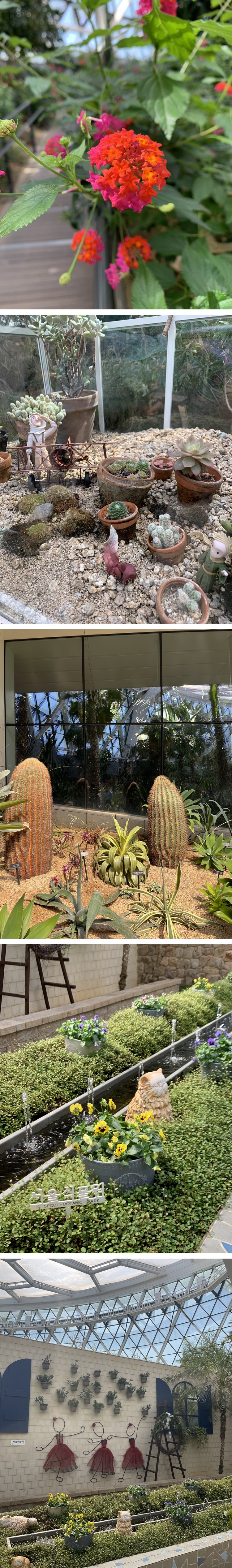 다육이 및 작은 물의 정원