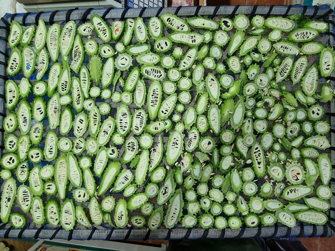 슬라이스 한 여주 열매들을 채반에 가지런히 펴서 말립니다.