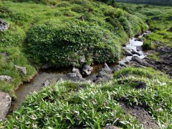 2025 한라산 백록샘 첫 개방! 선착순 100명