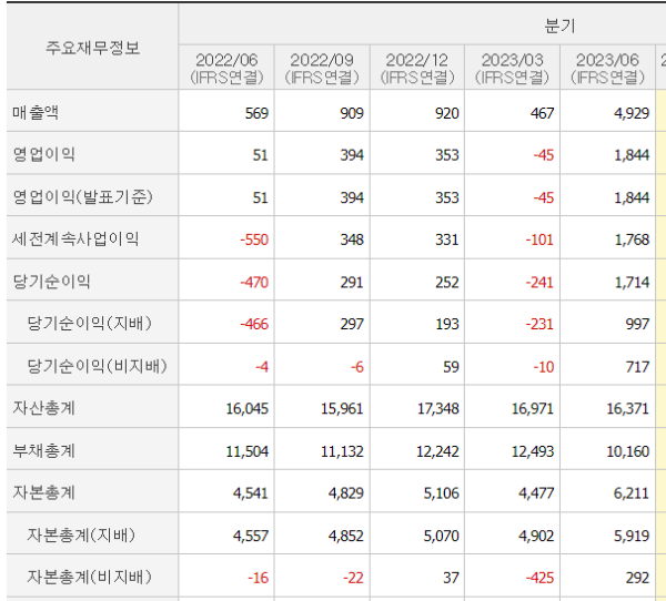 아난티 재무