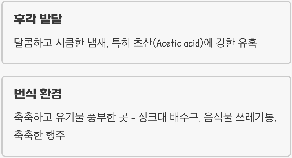 적을 알아야 이긴다&amp;#44; 녀석들의 치명적인 약점