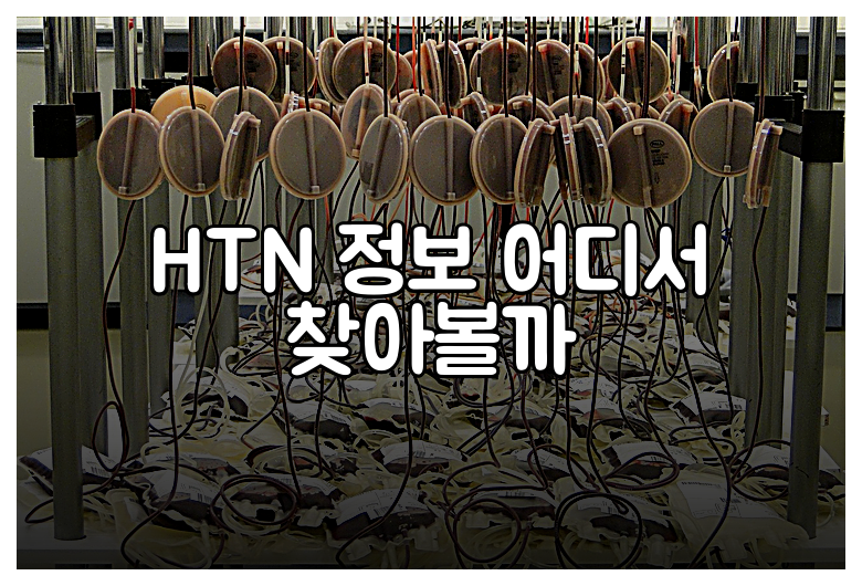 HTN 정보 어디서 찾아볼까