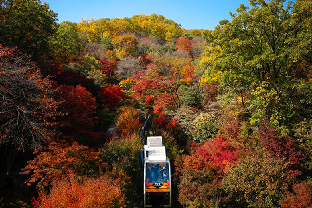 화담숲 모노레일