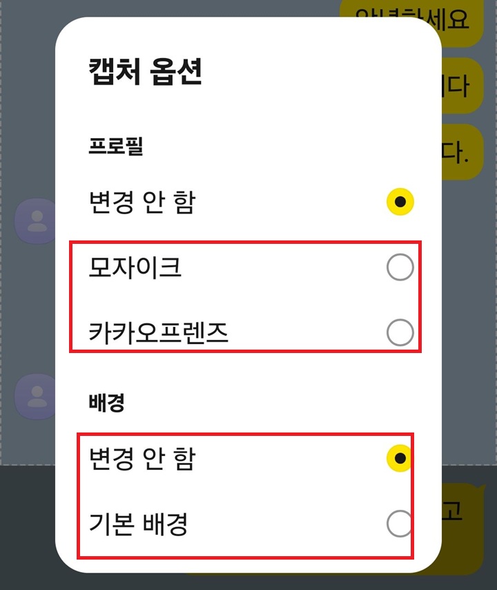 캡처 옵션 창 보임