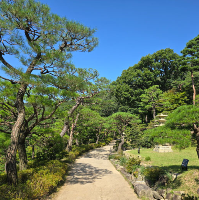 화담숲 예약방법 시기 입장료 모노레일 정보