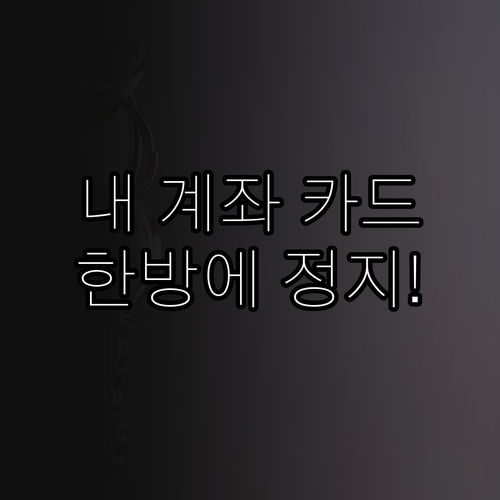 내 계좌와 카드 일괄 정지하는 법 및..