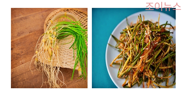 달래의 특징과 섭취방법