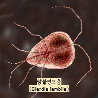 식중독-증상