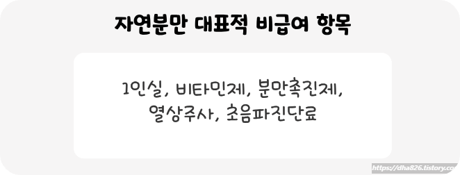 자연분만 대표적 비급여 항목