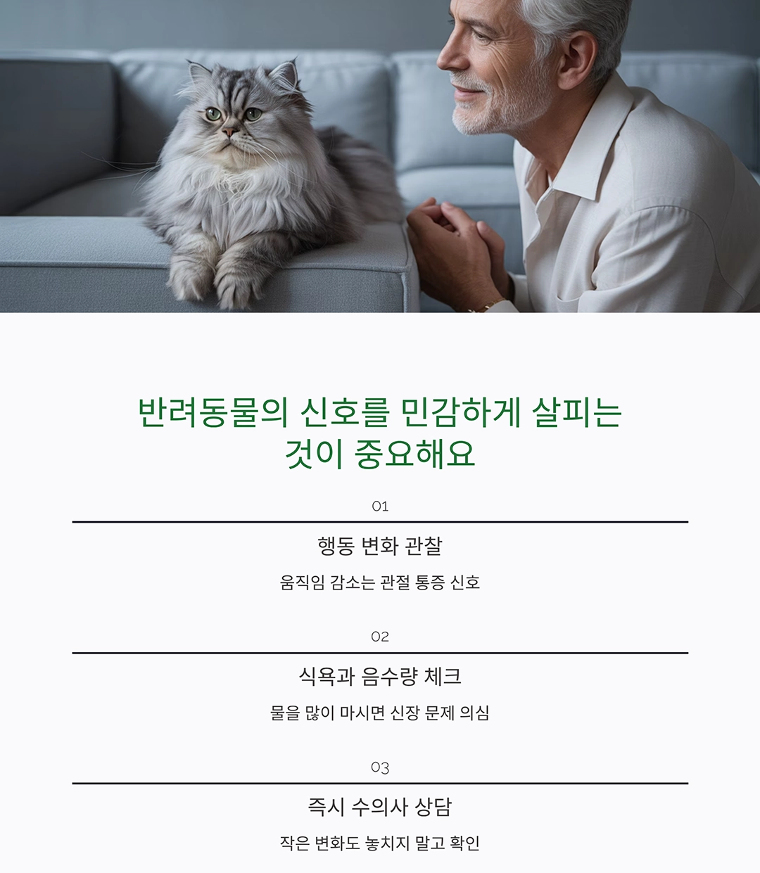 시니어 반려동물과 건강하게 오래 함께하는 방법