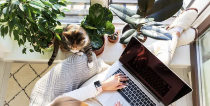 재택근무 관련 이미지