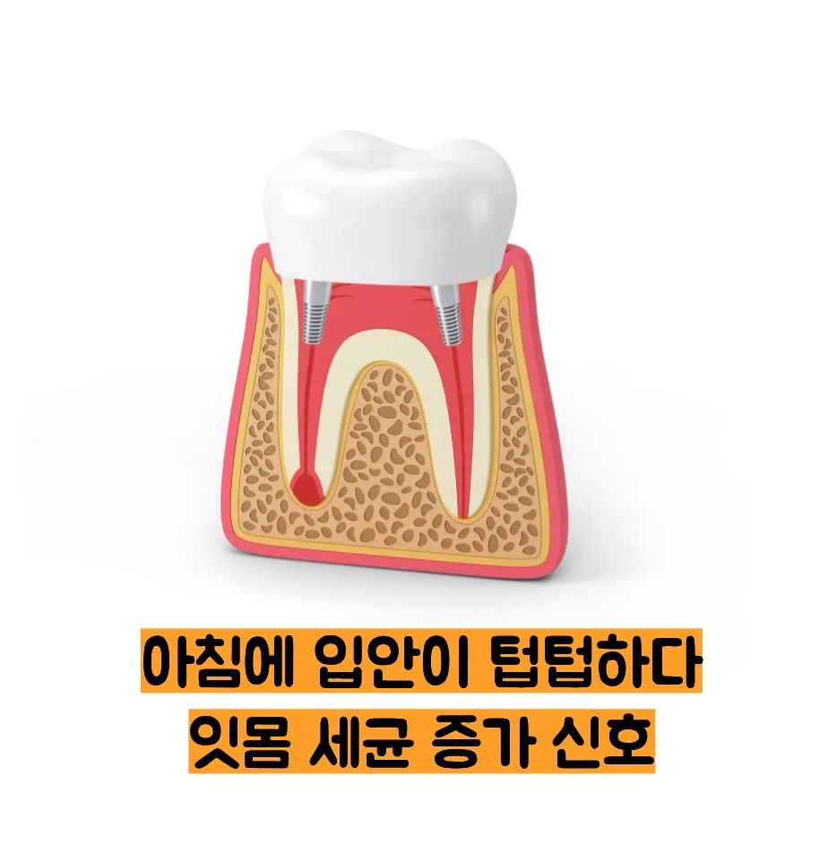 잇몸이 붓고 아플때