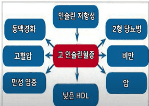 혈당관리보다 중요한 인슐린 저항성 관리