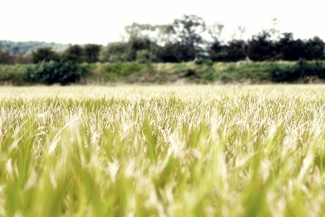 실시간 교통정보