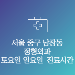 서울 중구 남창동 정형외과 주말 토요일 일요일 문여는 병원 진료시간