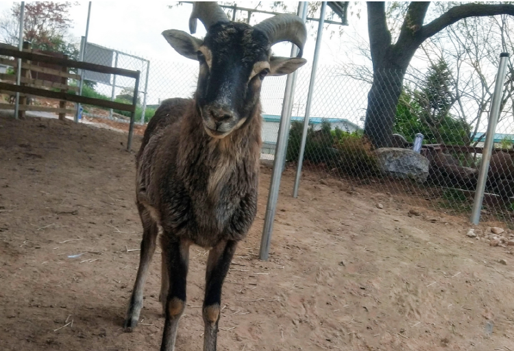 파주 퍼스트가든