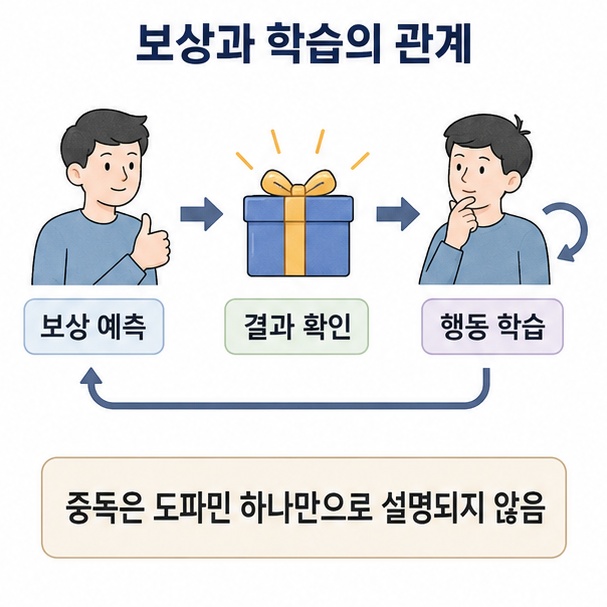 행동과 보상, 학습으로 이어지는 과정을 통해 도파민이 보상 예측과 행동 학습에 관여하는 모습을 보여주는 이미지