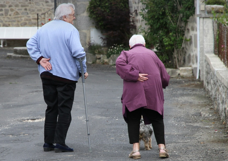 노인들과 함께 있는 강아지 뒷모습