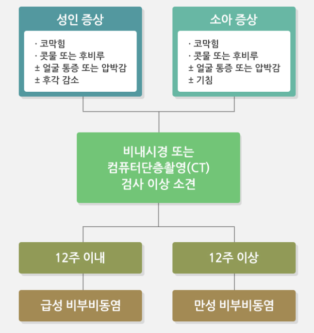 부비동암-비강암-증상-원인-진단-(+비염과-차이점-)