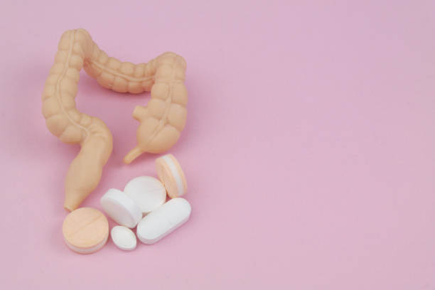 장 건강 영양제 Best 5! 장 건강에 진심인 당신을 위한 선택!