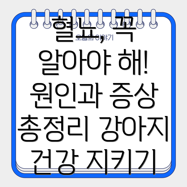 강아지 혈뇨