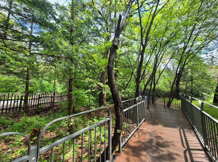 광릉숲 정원벨트 전면 개방