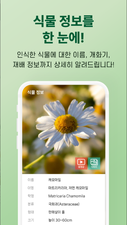 식물도감 앱, 핸드폰 식물 백과사전, 식물 식별자
