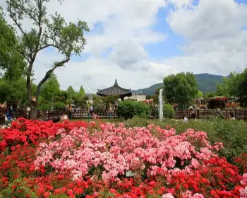 곡성 장미축제_6