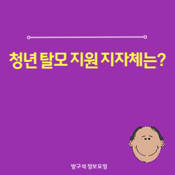 청년 탈모 지자체