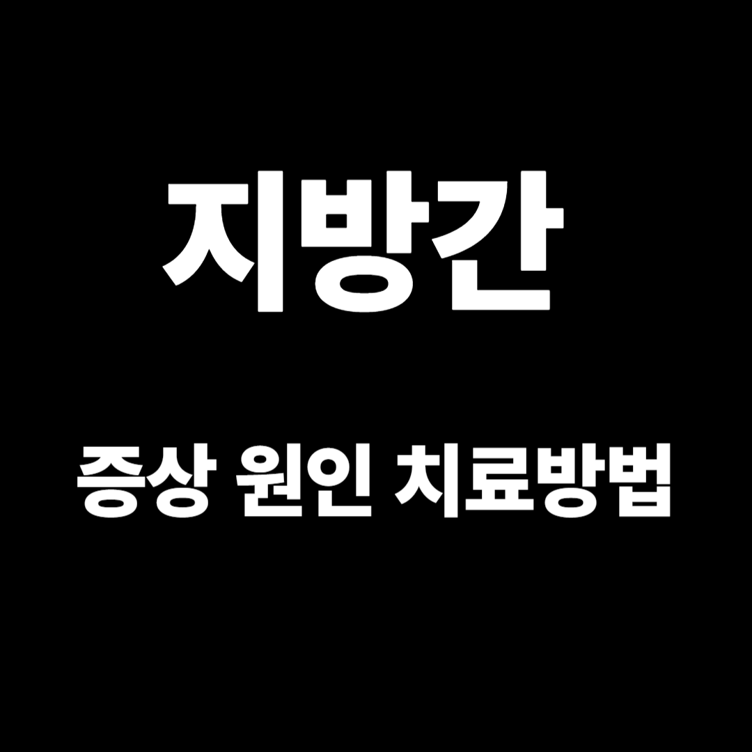 피곤한데 설마 지방간인가?? 증상 원인 치료방법
