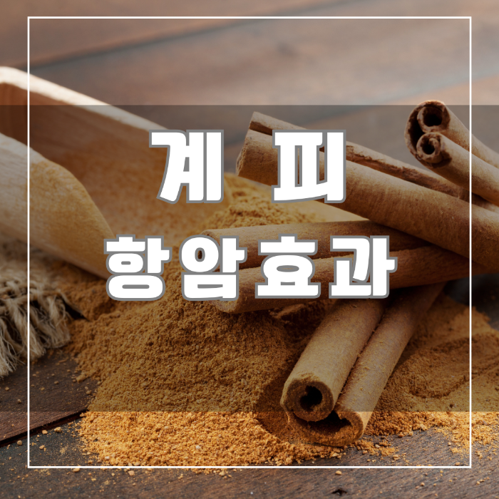 계피 항암효과