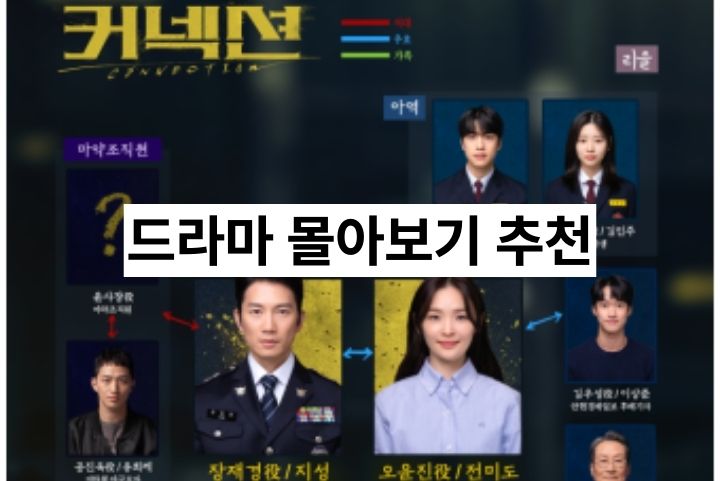 커넥션 드라마 몰아보기 추천 몇부작 ott 후기와 결말