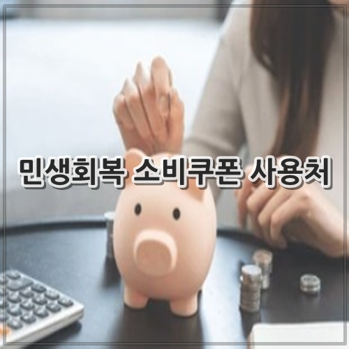 민생회복 소비쿠폰 사용처