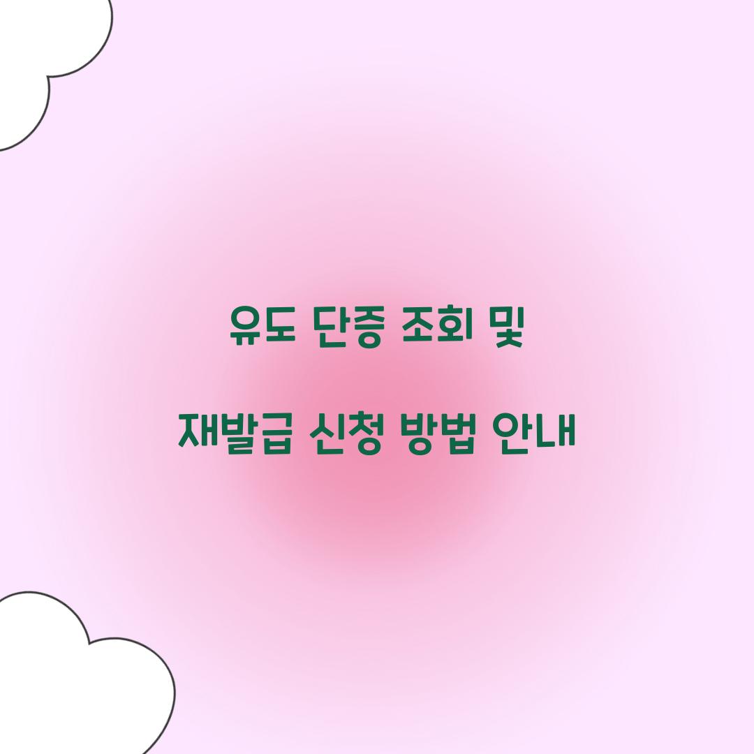 유도 단증 조회 및 재발급