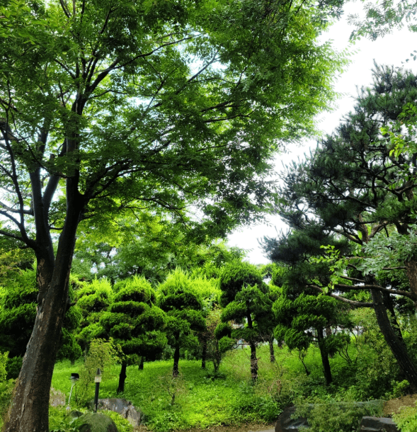 홍성 그림같은 수목원