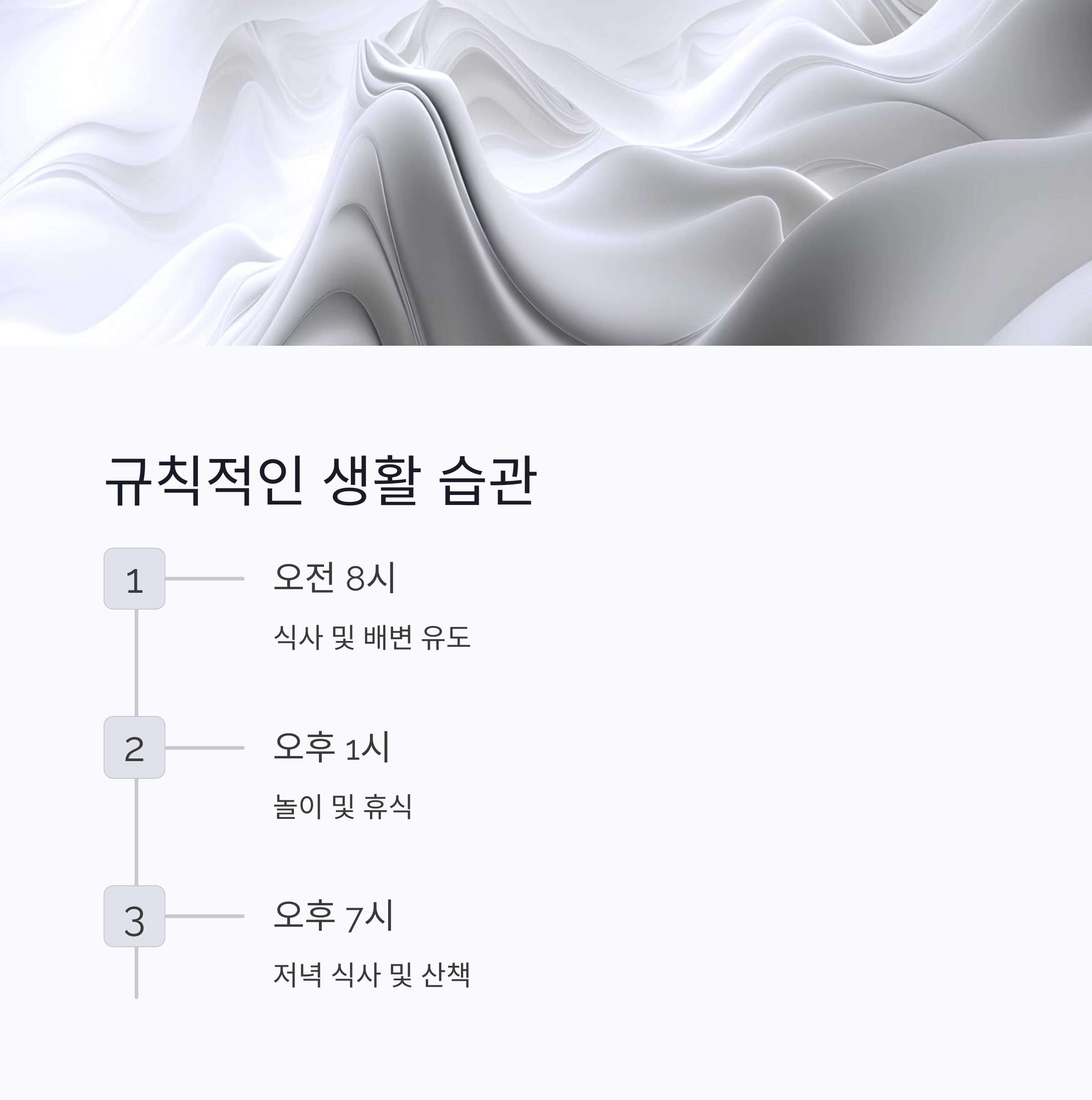 입양 후 첫 일주일, 반려동물과 친해지는 마법의 시간