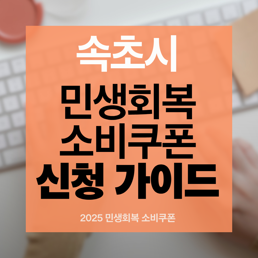 속초시 민생회복 소비쿠폰 나이 카드사