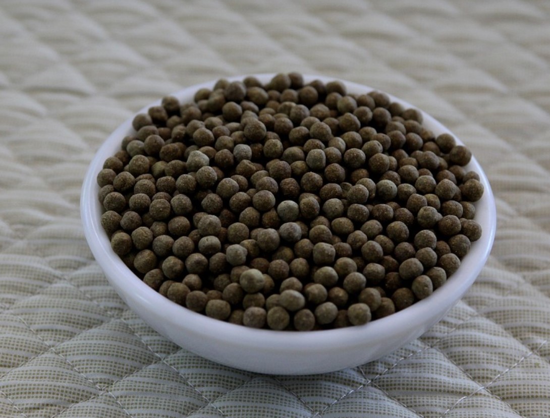 직장인을 위한 다이어트환 사진